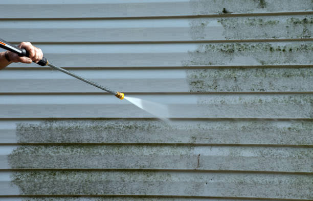 Best Patio and Deck Pressure Washing  in North Pearsall, TX